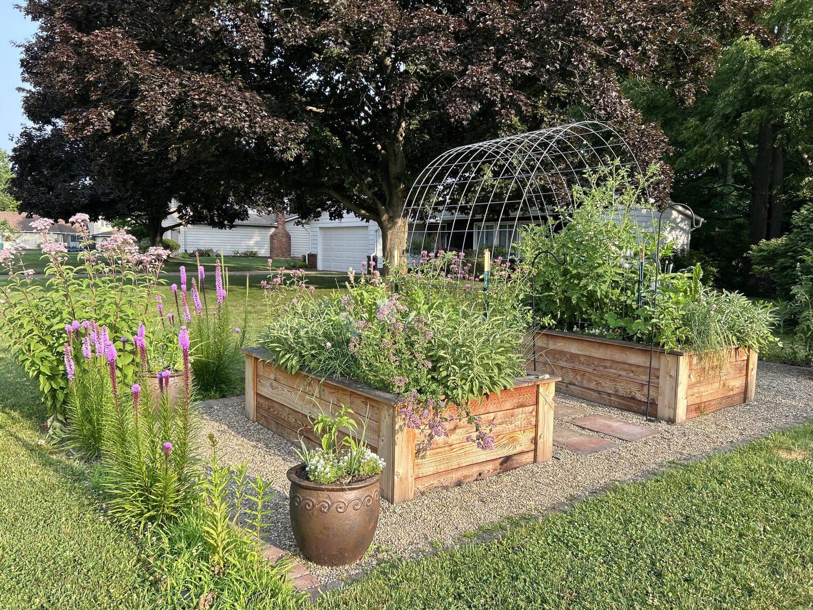 Raised bed food garden with liatris, verbena, and trellis in Northeast Ohio