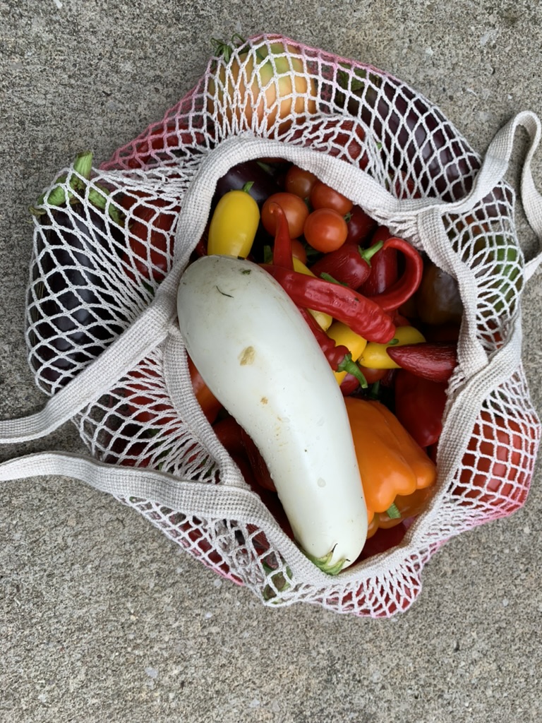 Summer harvest — eggplant, peppers, and tomatoes in a mesh bag
